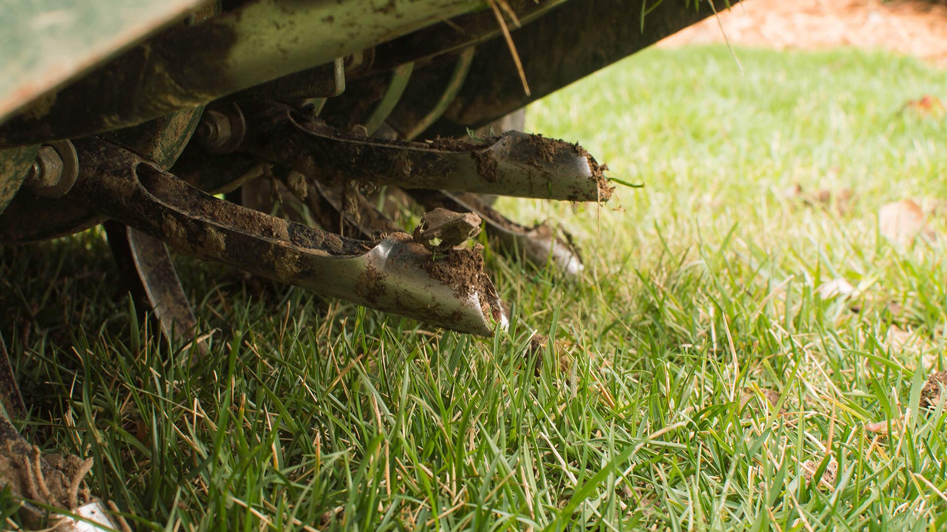 Why Annual (or More Frequent) Aeration, Thatching, and Fertilizing Are Essentials for a Healthy Lawn